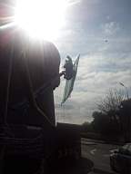 sandymount tower-14020.jpg